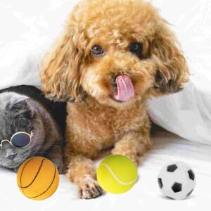 Wear Resistant Dog Basketball Toy Mini Puppy Football Toy  Playing