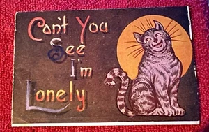 Vintage Can’t You See I’m Lonely Cat Post Card - Picture 1 of 2