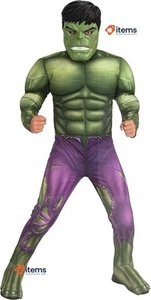 Jungen Hulk Deluxe Kinder Kostüm für Karneval Geburtstage Und Halloween - Bild 1 von 6