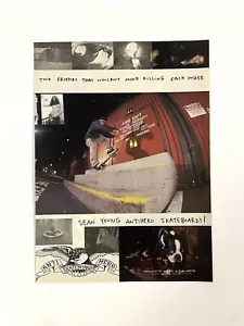 Sean Young Anti Hero Skateboards Druck Werbung 1996 - Bild 1 von 3