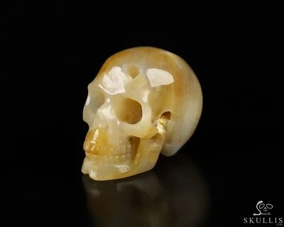 Calavera de cristal tallada a mano fósil de coral de 1,1", realista, cristal curativo Foto 1 de 4