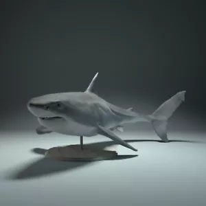 WHITE SHARK SQUALO BIANCO 54mm 1:35 1:32 ANIMAL FISH DEN MINIATURES - Foto 1 di 3