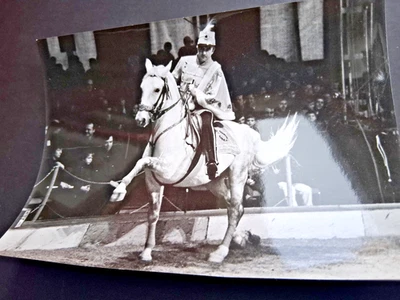 DDR presse foto 13x18 STAATS ZIRKUS Günter Dorning Schulreiter im Circus busch - Bild 1 von 2