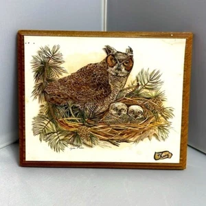 Vintage Horned Owl 3D Art Wood Wall Plaque Signed Rivendell Crafts Graford TX - Picture 1 of 12