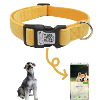 THAIN Hundehalsband mit QR Code Personalisierter Hundehalsband Weicher Samt & Nylon
