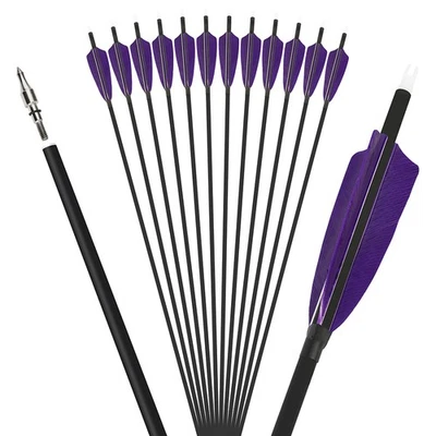 28" 30" 31" Archery Carbon Arrow SP500 Turkey Feather Recurve Bow Hunting Target - Image 1 of 4