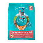 Tender Select Dry Cat Food, Real High Protein Salmon, 16 Lb Bag