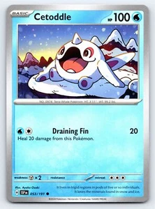 Cetoddle 053/191 Common Surging Sparks Pokemon Card - NM - Picture 1 of 2