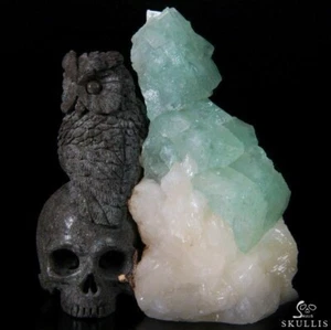 Unique Huge 3.5" Fluorite Druse Carved Crystal Skull & Owl - Picture 1 of 11