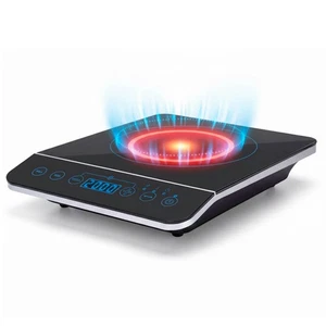 Piastra a induzione elettrica portatile 2000 w display LED timer digitale - Foto 1 di 10