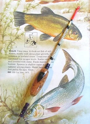 Galleggiante tinca inglese classico fatto a mano - Immagine 1 di 4