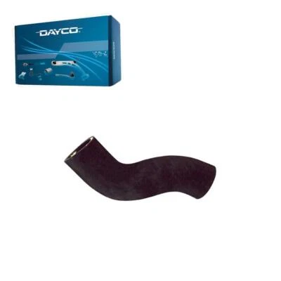 Manguera de refrigerante de radiador Dayco superior - Tee To Eng para Volkswagen Passat 2006-2008 Foto 1 de 2