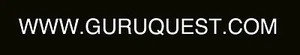 Guruquest dot com Domain name - Picture 1 of 1
