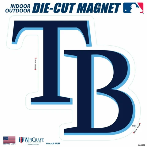 Tampa Bay Rays SD 12" Logo MAGNET Die Cut Vinyl Auto Home Heavy Duty Baseball Cover