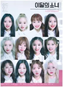 LOONA 5P Cartella Documenti Progetto Pocket File (Formato A4) K-POP 01 - Foto 1 di 2
