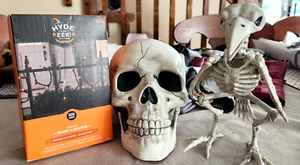 Halloween-Dekorationen 100 winzige orangefarbene Lichter, 7"" Schädel und 8"" Krähenskelett ~ Set - Bild 1 von 8