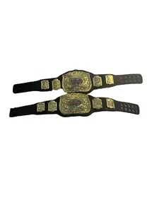 WWE Wrestler Action Figure Clothing Accessories 6 “ Model Gold 2 Belts - Picture 1 of 5