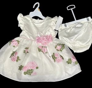 NWT Rare Editions Baby Girls Satin Burnout Organza Skirt Dress 12 Months Formal - Picture 1 of 16