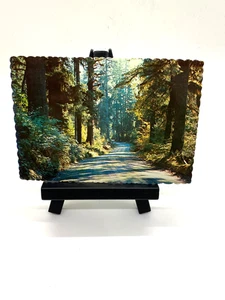 Cartolina - A Forest Highway, Western Washington spedita 1983 con bordi smerlati - Foto 1 di 8