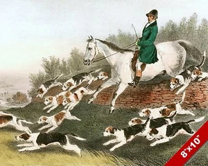 DOWNHILL FOX HUNT HORSE EQUESTRIAN HUNTING ART PAINTING REAL CANVAS PRINT - Picture 1 of 1