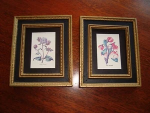Vintage Mini Kunst Stillleben Botanische Blumen Floral Schwarz Gold Rahmen Verziert 6" B11 - Bild 1 von 7