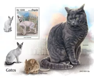 Angola - Razas de gatos 2019 en estampillas - Hoja de recuerdo de estampillas - ANG190113b - Imagen 1 de 1