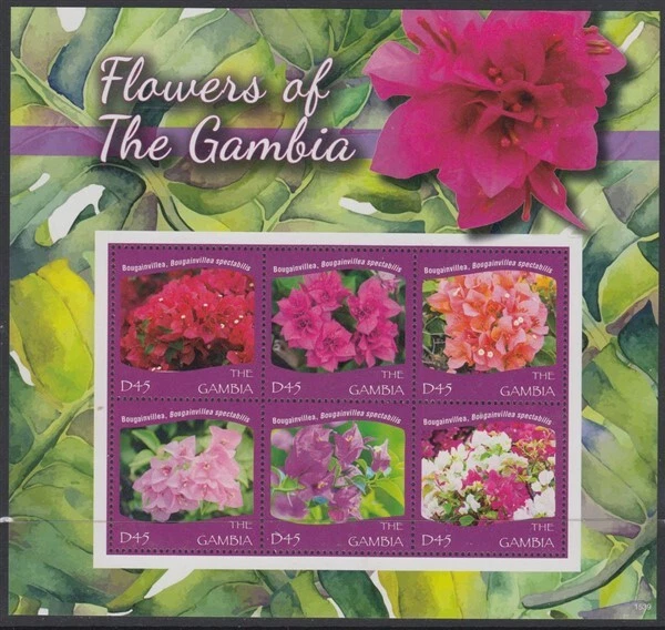 GAMBIA 2015 FLORES DE GAMBIA HOJA (6) MNH (ID:795/D64616) Foto 1 de 1