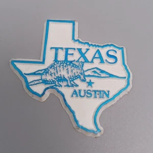 Texas State Collectable Fridge Magnet - Picture 1 of 4