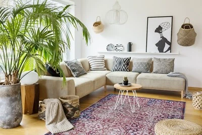 Netline Home Area Rug Large Modern Washable Runner Mat Floor Fluffy Shag Carpet - Image 1 of 4