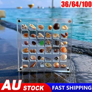 Acrylic Magnetic Seashell Display Box, 36-100Grids Clear Gemstone Beads Storage - Picture 1 of 15