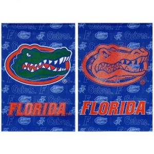 NCAA Team Sports Evergreen SUEDE GLITTER Garden Flag 12.5” x 18” - Picture 1 of 4