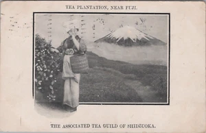 Tea Plantation Mt Fuji Associated Tea Guild Shidzuoka 1910 postcard LQ7 - Picture 1 of 2