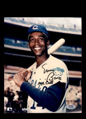 Ernie Banks PSA ADN Firmado Sr. Cub 8x10 Foto Autógrafo Cubs Foto 1 de 2