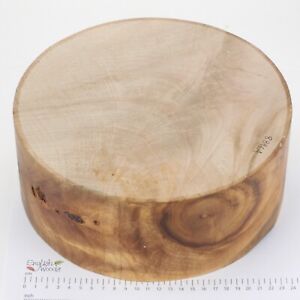 English Ripple Sycamore woodturning or wood carving blank.   255 x 103mm.  8896A