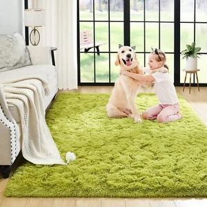 2X3 Feet Green Area Rugs for Living Room Super Soft Floor Fluffy Carpet - Picture 1 of 7