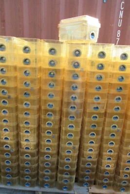 Lote de 100 jaulas de laboratorio Allentown Rat Mouse 75 Jag HiTemp con inserto de acero inoxidable + tapas Foto 1 de 4