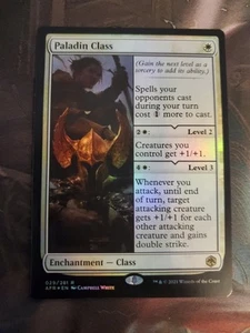 MTG Paladin Class Foil Adventures In The Forgotten Realms Rare NM 2021 - Picture 1 of 6