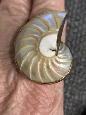 ANILLO CHARLES ALBERT NAUTILUS SHELL GRANDE LLAMATIVO 7,5 ADJ TONO DORADO Foto 1 de 4