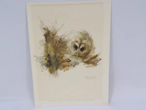 Mads Stage Tawny Owl Watercolor Litho Artist Signed Named & Dated 15" x 11" D25 - Picture 1 of 11