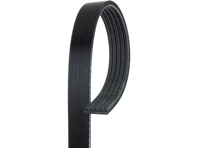 Cinturón de aire acondicionado Delco dorado multi costilla para BMW 325i 1992-1995 69YCGS Foto 1 de 1