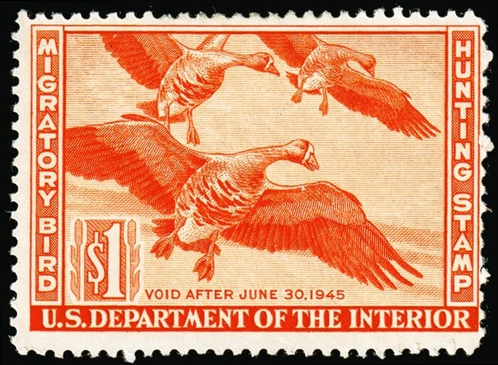 United States Hunting Permit Stamp Scott RW11 (1944 ) Mint H F, CV $45.00 C - Image 1 of 1