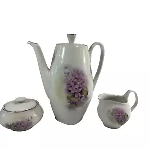 Vintage Fine China Kaffeekanne Milchkännchen Zuckerveilchen Silberrand Bavaria Germany - Bild 1 von 19