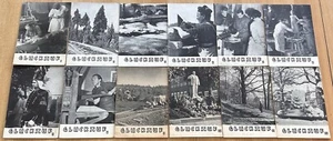 12x Glückauf - Culture And Homeland Papers Of The Aue/SA District - 1960 - Picture 1 of 2