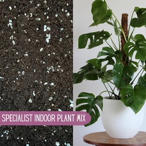 MONSTERA COMPOST (Cheese Plant) With Activated BIOCHAR & PERLITE - Picture 1 of 7