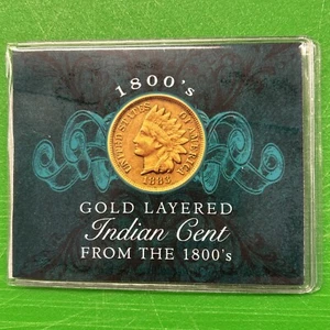 Centavo cabeza india 1899 - capas doradas - envío gratuito - Imagen 1 de 7