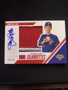 2020 Panini Stars & Stripes Chun-Kai Liao Silhouette Chinese Taipei Auto 05/14 - Picture 1 of 3