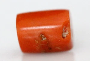 Rare Ancient Red Coral Bead Near Eastern 111mm 8 Carat Gemstone #D140 - Picture 1 of 4
