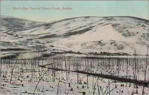 Postcard Bird's Eye View Cleary Creek Alaska AK - Picture 1 of 2