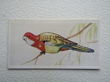 Sweetule - Junior Service 1954 Tropical Birds Card Cards Variants (e30)