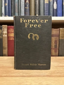 FOREVER FREE A Novel Of Abraham Lincoln Honore Willsie Morrow HC 1927 - Picture 1 of 19